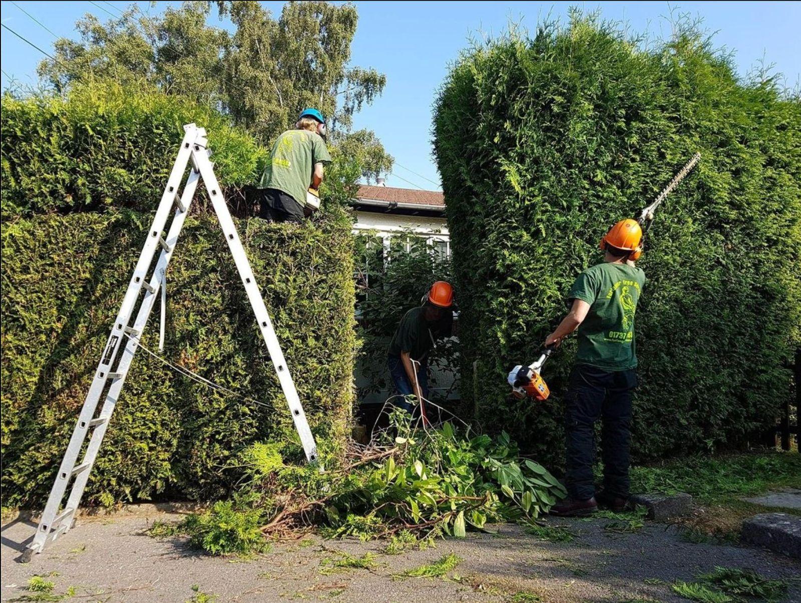 Pruning