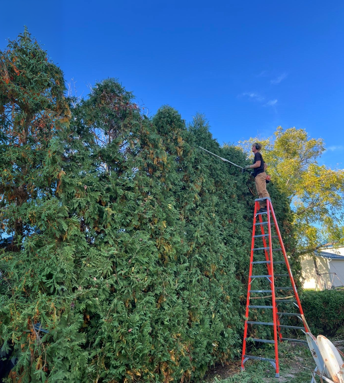 Landscape Installations